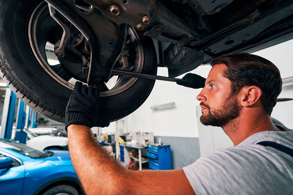 bucha da bandeja scaled